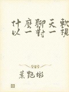 什么聊天软件可以一对一视频聊天