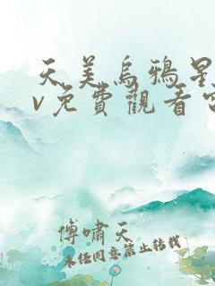 天美乌鸦星空mv免费观看电视剧最新一