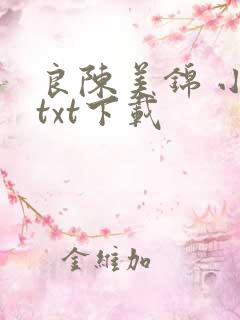 良陈美锦 小说txt下载