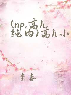 (np,高h,纯肉)高h小说