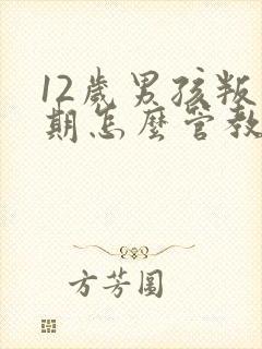 12岁男孩叛逆期怎么管教最合适男孩