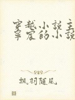 穿越小说主角叫宁宸的小说