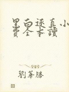 黑白逐真小说免费全本读