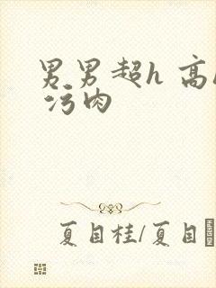 男男超h 高h 污肉