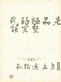 我的极品老婆小说完整