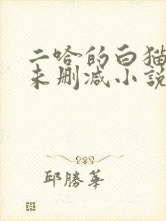 二哈的白猫师尊未删减小说