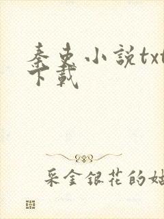 秦吏小说txt下载