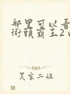 哪里可以看全集街头霸王2 v动漫