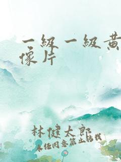 一级一级黄色录像片