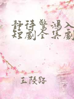 静待惊鸿入瓮慌短剧全集剧情简介