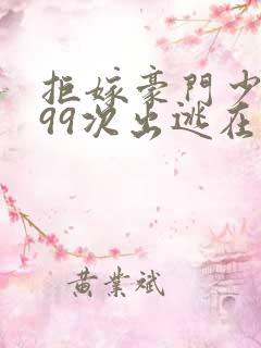 拒嫁豪门少奶奶99次出逃在哪里看