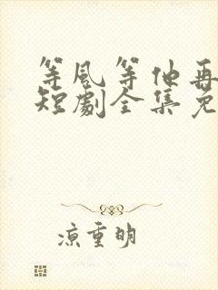 等风等他再回头短剧全集免费看