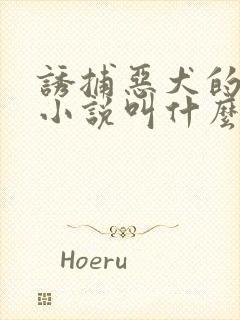 诱捕恶犬的原著小说叫什么