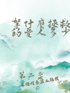 拿什么拯救你我的爱人多少集