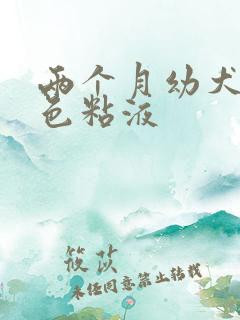 两个月幼犬吐白色粘液