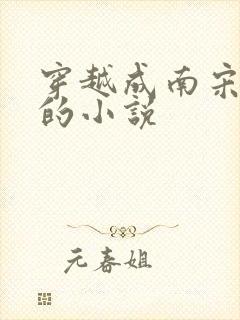 穿越成南宋末帝的小说