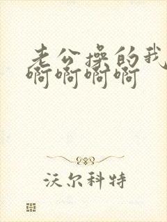 老公操的我好爽啊啊啊啊