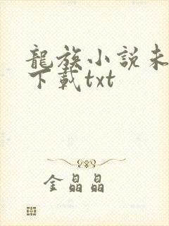 龙族小说未删版下载txt