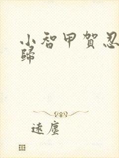 小智甲贺忍蛙回归