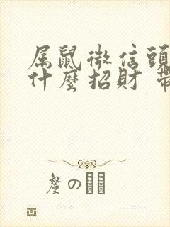 属鼠微信头像用什么招财 带来好运