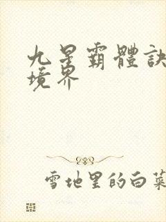 九星霸体诀龙尘境界