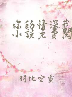 你的情深我不配小说免费阅读