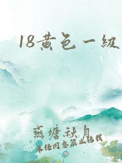 18黄色一级片