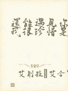 还能遇见你所以我很珍惜是什么歌