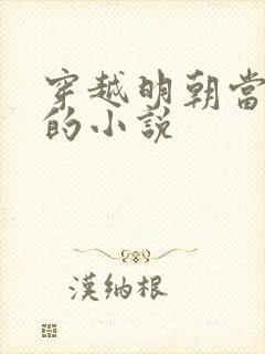 穿越明朝当崇祯的小说