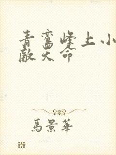 青鸾峰上小说无敌天命