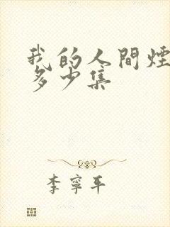 我的人间烟火有多少集