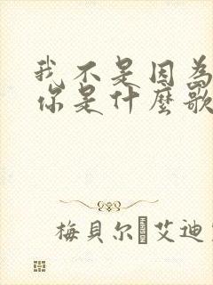 我不是因为爱着你是什么歌