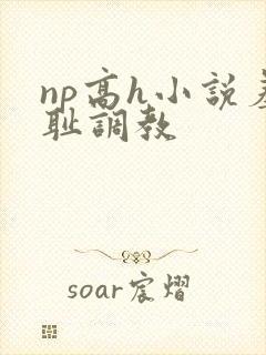 np高h小说羞耻调教