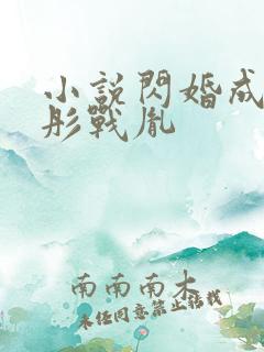 小说闪婚成宠海彤战胤