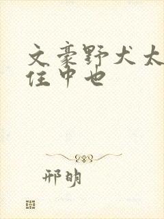 文豪野犬太宰抱住中也