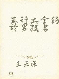 五行土金的字用于男孩名