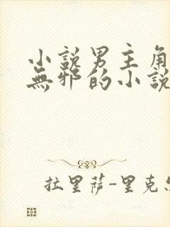 小说男主角叫柳无邪的小说