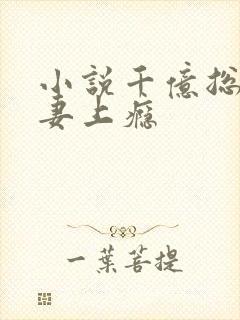 小说千亿总裁宠妻上瘾