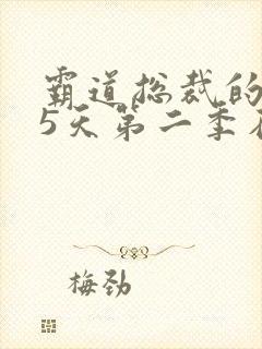 霸道总裁的365天第二季在线