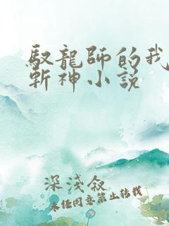 驭龙师的我可以斩神小说