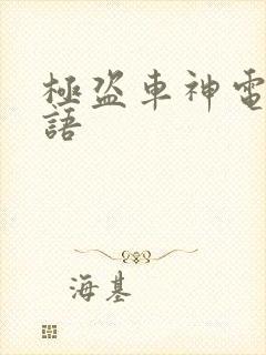 极盗车神电影国语
