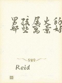 男孩属火的字有哪些寓意好