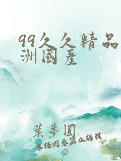 99久久精品亚洲国产