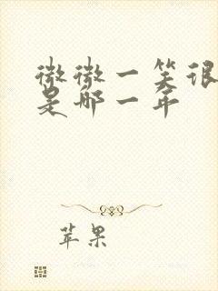 微微一笑很倾城是哪一年