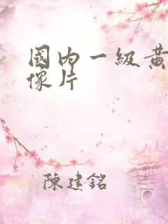 国内一级黄色录像片