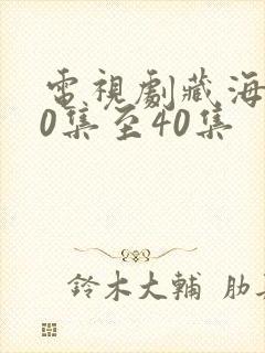 电视剧藏海传20集至40集