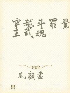 穿越斗罗觉醒圣主武魂