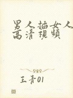 男人插女人下面高清视频