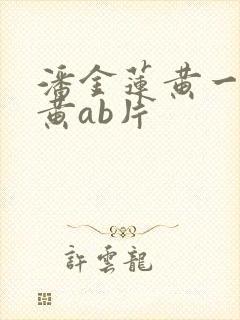 潘金莲黄一级特黄ab片