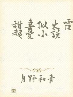 甜妻似火霍爷他超爱小说